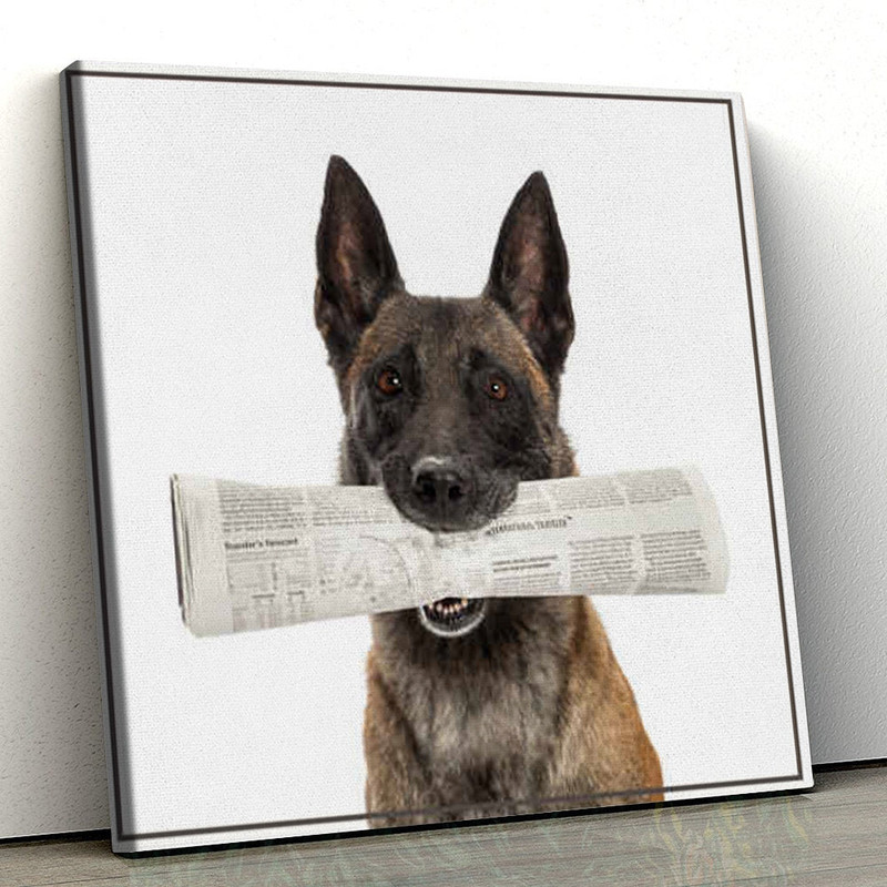 Dog Square Canvas - Dog With Newspaper - Dog Canvas Pictures -Dog Wall Art Canvas - Dog Poster Printing - Furlidays.jpg