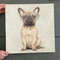 Dog Square Canvas - Mr French Bulldog - Canvas Print - Dog Painting Posters - Dog Canvas Art - Furlidays.jpg