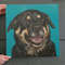 Dog Square Canvas - Smiling Rottweiler Painting - Canvas Print - Dog Wall Art Canvas - Dog Canvas Print - Furlidays.jpg