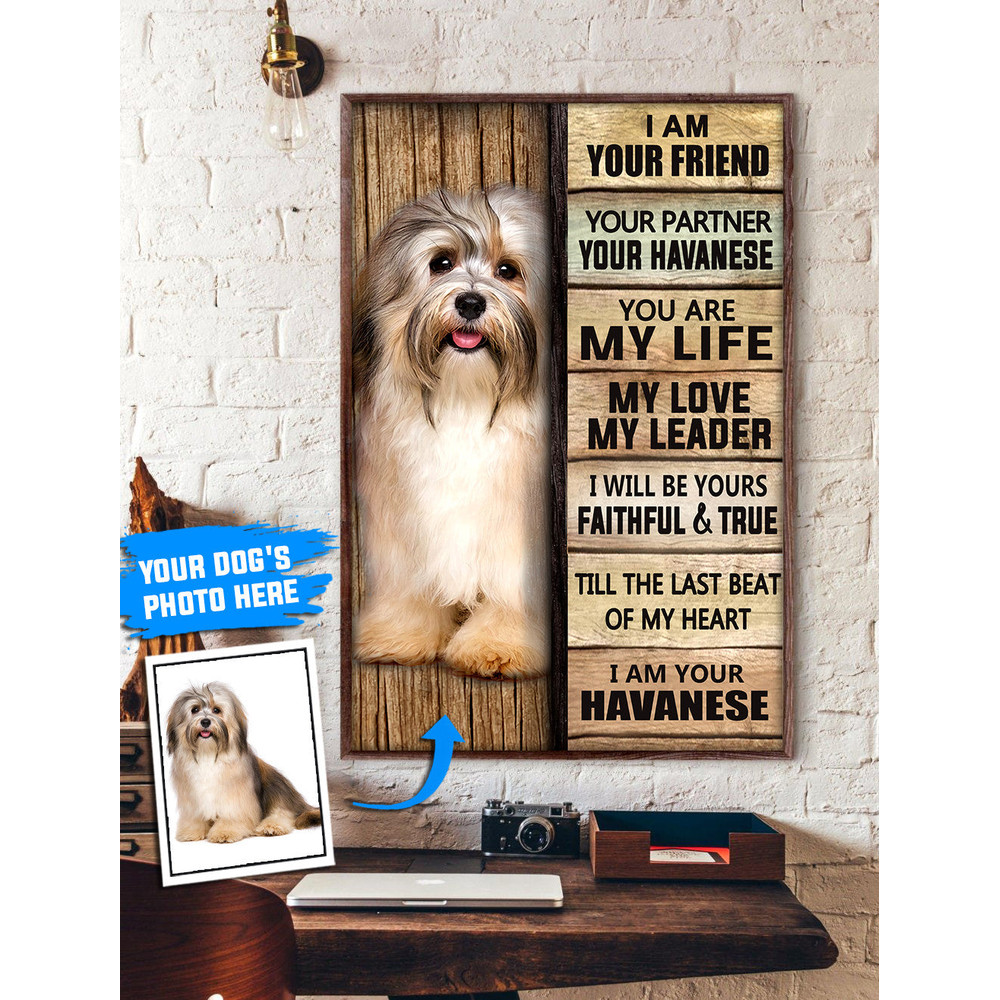 Havanese Personalized Poster & Canvas - Dog Canvas Wall Art - Dog Lovers Gifts For Him Or Her.jpg