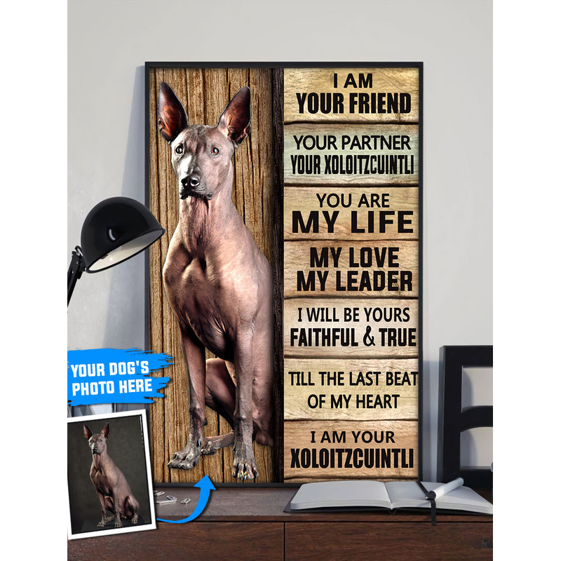 Xoloitzcuintli Personalized Poster & Canvas - Dog Canvas Wall Art - Dog Lovers Gifts For Him Or Her.jpg