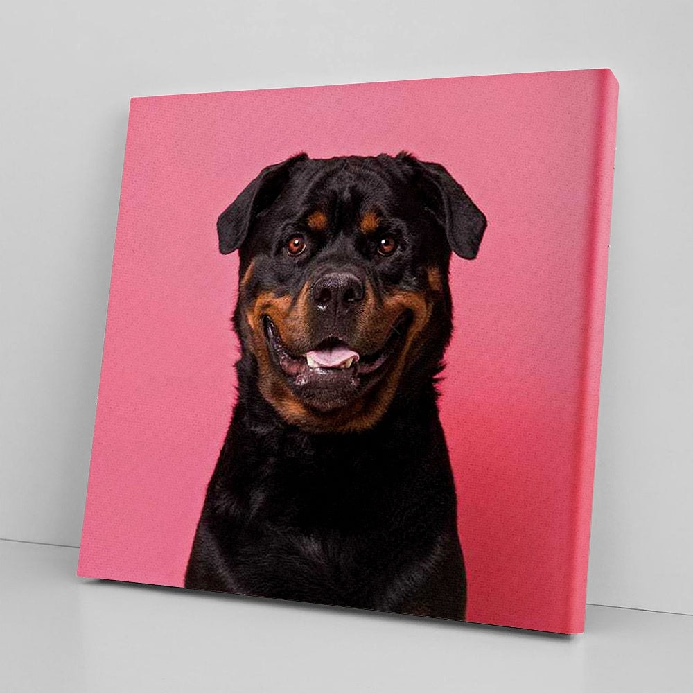 Dog Square Canvas - Bo The Rescue Dog, Smiling - Canvas Print - Dog Wall Art Canvas - Dog Canvas Print - Furlidays.jpg