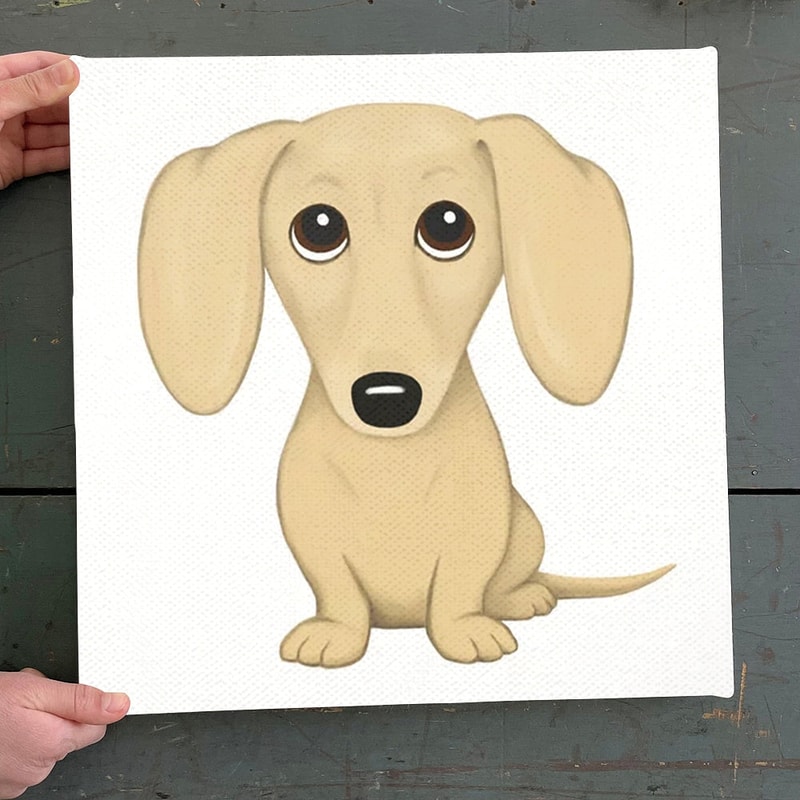 Dog Square Canvas - Cream Dachshund - Dog Canvas Print - Dog Wall Art Canvas - Furlidays.jpg