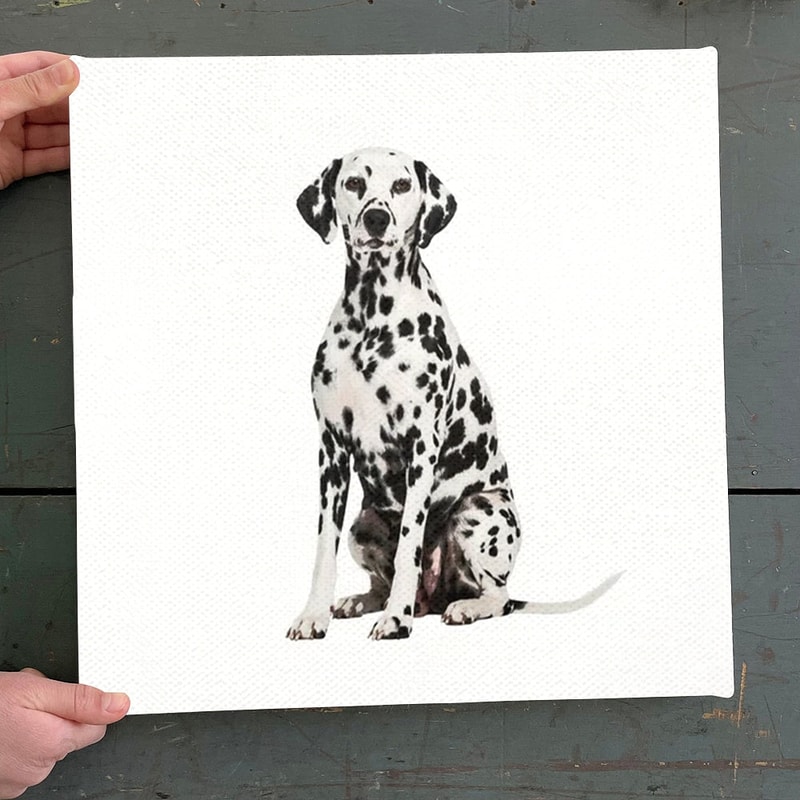 Dog Square Canvas - Cute Dalmatian - Canvas Print - Dog Canvas Print - Dog Wall Art Canvas - Furliday.jpg