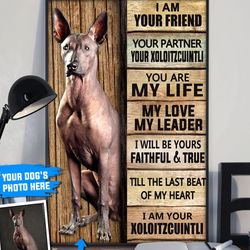 xoloitzcuintli personalized poster & canvas, dog canvas wall art, dog lovers gifts
