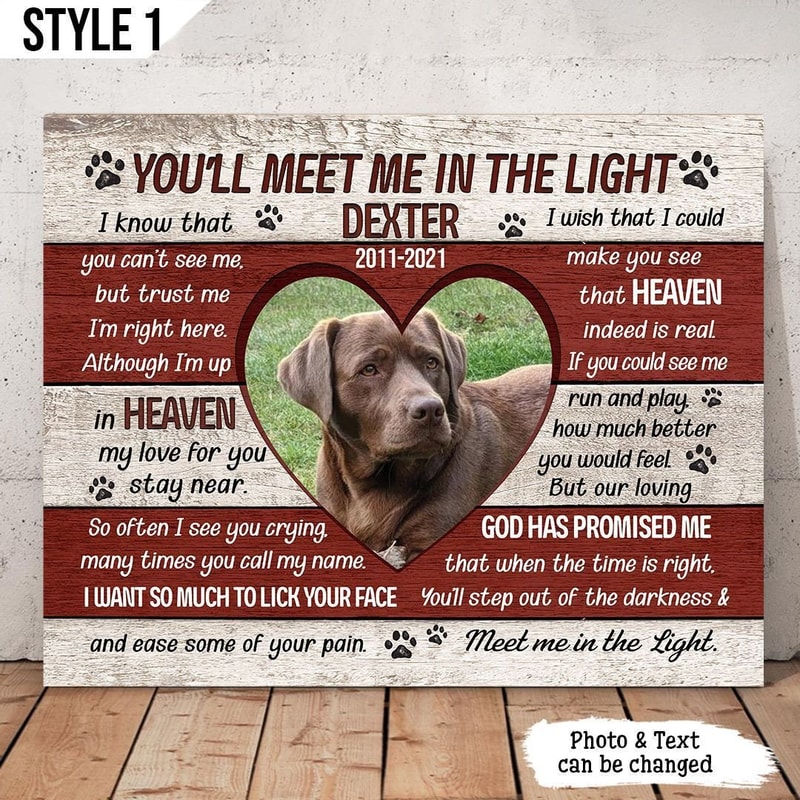 You'll Meet Me In The Light Dog Poem Canvas Poster - Personalized Painting On Canvas - Dog Memorial Gift For Dog Lovers.jpg