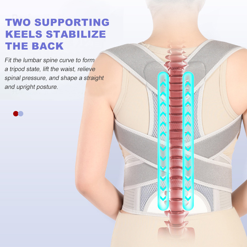 Professional Back Brace for Women, Men, Posture Corrector with Lumbar Support for Upper, Lower Back Pain Relief