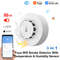 Smart Tuya Wifi BT Smoke Detector With Temperature Humidity Sensor Loud Alarm Remote Push Alert Fir 7