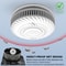 Smart WiFi Smoke Detector Tuya App Control with Lithium Battery, Fire Alarm Sensor for Kitchen Shop Parlor Room