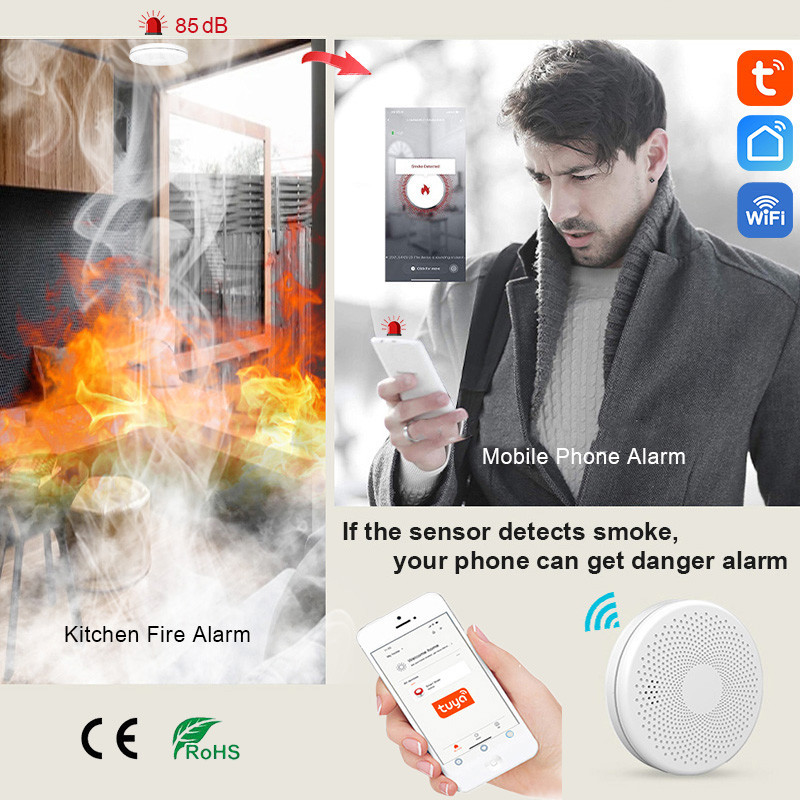 WiFi Tuya Smart Smoke and CO Detector 2 in 1 Version, Carbon Monoxide Alarm for Kitchen, Parlor, Shop Fire Safety Sensor