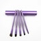 Professional 5pcs Travel Mini Eye Makeup Brushes Set, Smudge Eyeshadow Eyeliner, Eyebrow Brush Kit Lip Make Up Brush