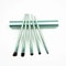 Professional 5pcs Travel Mini Eye Makeup Brushes Set, Smudge Eyeshadow Eyeliner, Eyebrow Brush Kit Lip Make Up Brush