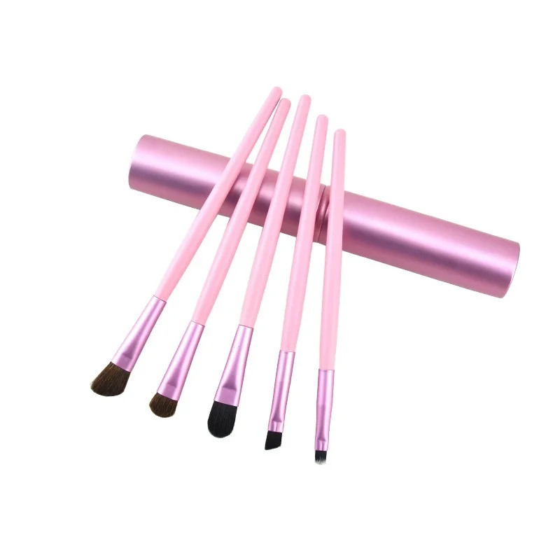 Professional 5pcs Travel Mini Eye Makeup Brushes Set, Smudge Eyeshadow Eyeliner, Eyebrow Brush Kit Lip Make Up Brush