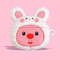Loopy Beaver Rabbit Hat For Airpods 1 2 3 4 Pro, Pro 2 Silicone Case Cover with Accessories, Protective Earphone Case