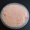 Pure Himalayan Pink Salt, 100g of Natural, Organic Mineral Salt