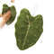 Leaf Print Hand Towels Highly Absorbent Hanging Towel For Kitchen And Bathroom Plant Pattern Cleani 0