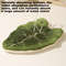 Leaf Print Hand Towels Highly Absorbent Hanging Towel For Kitchen And Bathroom Plant Pattern Cleani 3