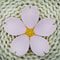 Sakura Magnetic Bag Kitchen Storage Clips Decorative Moisture Proof Food Sealing Clip 2