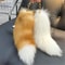 LuxeFluff Faux Fur Fox Tail Keychain Charm For Bags Keys 1