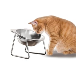 ergofeast tilted cat bowl with stainless steel stand