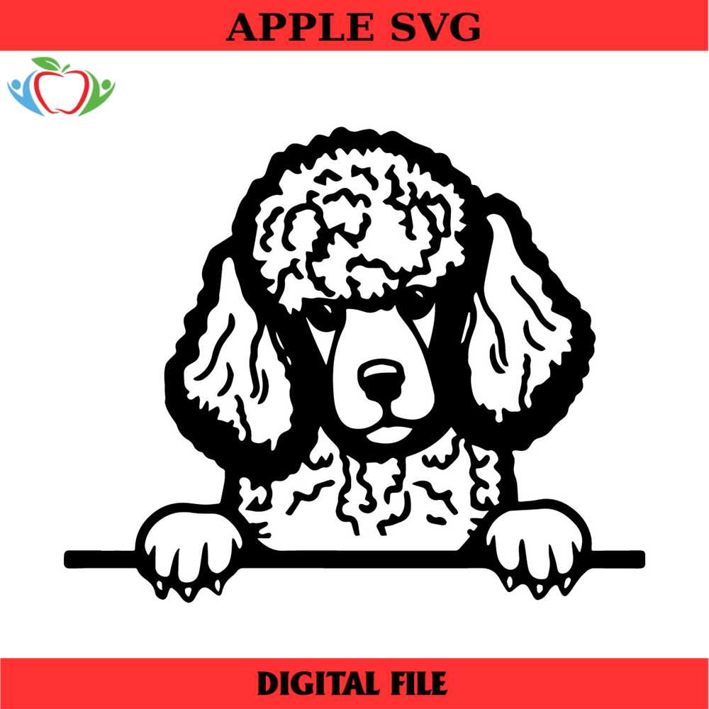 MR-apple-svg-15042024td009-172024143111.jpeg