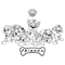 Untitled-1-01.png