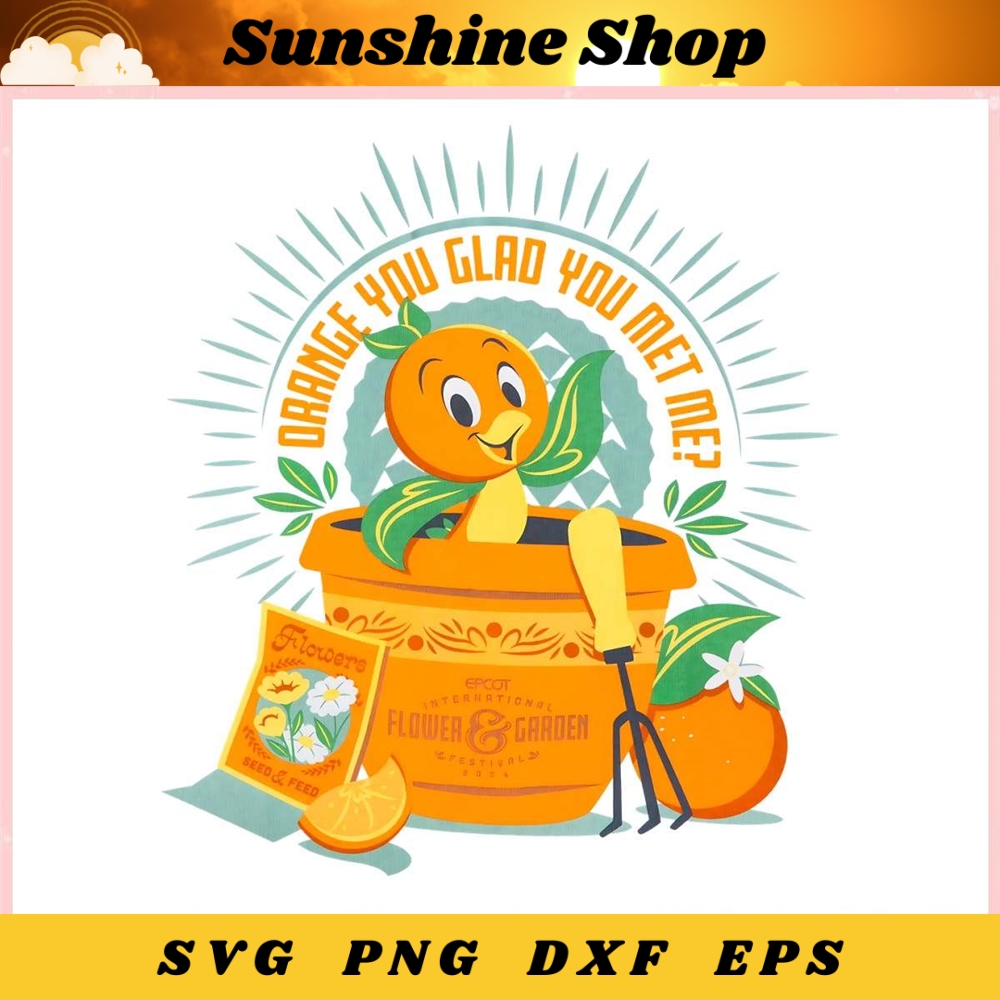 MR-sunshine-shop-td000a2033-972024143848.jpeg