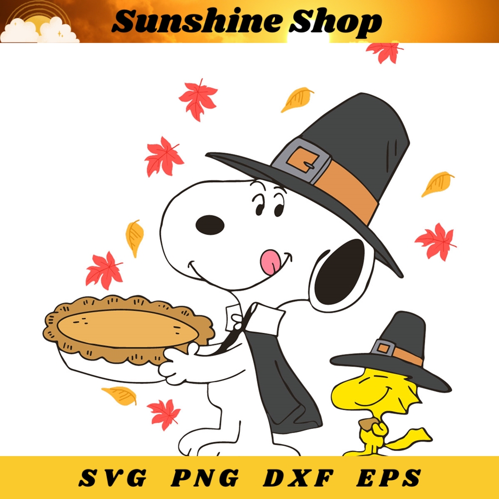 MR-sunshine-shop-td190624tt74-1972024163822.jpeg