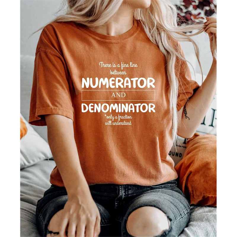 Comfort Colors Funny Math Shirt Gift For Teacher, Numerator And Denominator, Math Teacher Shirt, Math Lover Gift, Statis.jpg