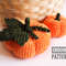 CROCHET PATTERN Pumpkin Toy Autumn Pumpkin Halloween Decor Vegetables Toy Amigurumi Tutorial PDF File 0