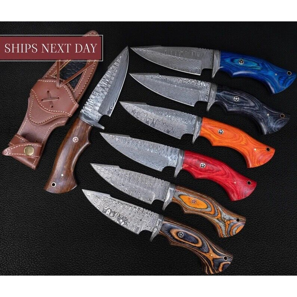 LOT of 10 Different Color Bobcat Hunting Knife Handmade High Damascus Steel (7).jpg