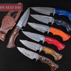 lot of 10 different color bobcat hunting knife handmade high damascus steel