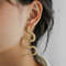 Zinc Alloy Snake Earrings (1).jpg