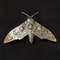 Vintage Gothic Moth Hair Clip for Halloween