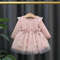 Fashion Autumn Spring Toddler Baby Dress Round Neck Knit Long Sleeve with Flower Embroidery Casual Pink Baby Dress