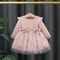 Fashion Autumn Spring Toddler Baby Dress Round Neck Knit Long Sleeve with Flower Embroidery Casual Pink Baby Dress