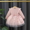 Fashion Autumn Spring Toddler Baby Dress Round Neck Knit Long Sleeve with Flower Embroidery Casual Pink Baby Dress