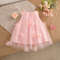 Summer Wedding Party Dress for Baby Floral Decoration Sleeveless Mesh Dress Korean Style Pink Princess Baby Girl Gown