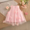 Summer Wedding Party Dress for Baby Floral Decoration Sleeveless Mesh Dress Korean Style Pink Princess Baby Girl Gown