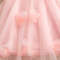 Summer Wedding Party Dress for Baby Floral Decoration Sleeveless Mesh Dress Korean Style Pink Princess Baby Girl Gown