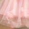 Summer Wedding Party Dress for Baby Floral Decoration Sleeveless Mesh Dress Korean Style Pink Princess Baby Girl Gown