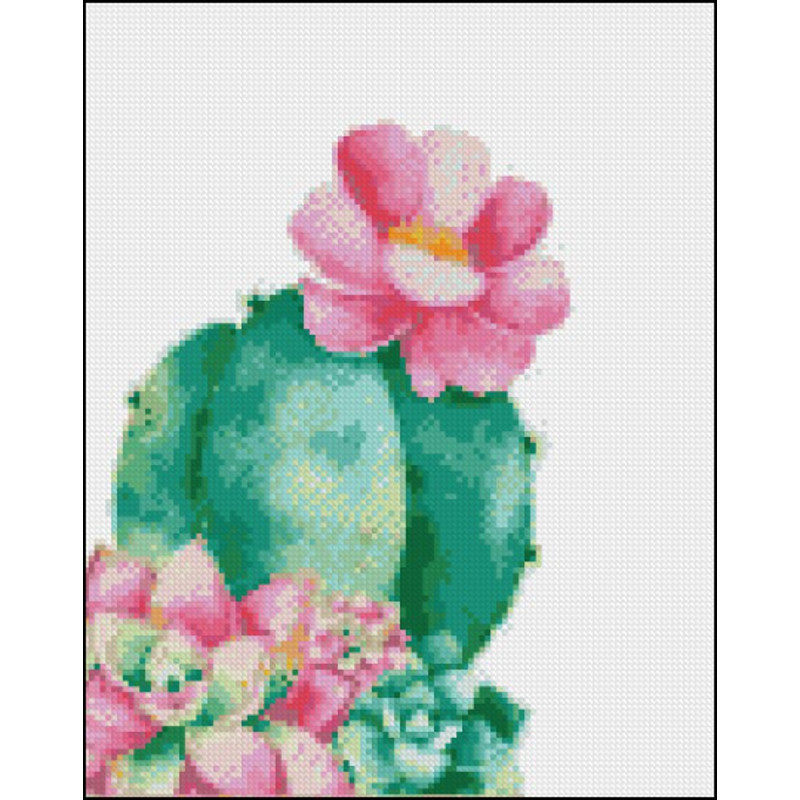 загружено (3).png