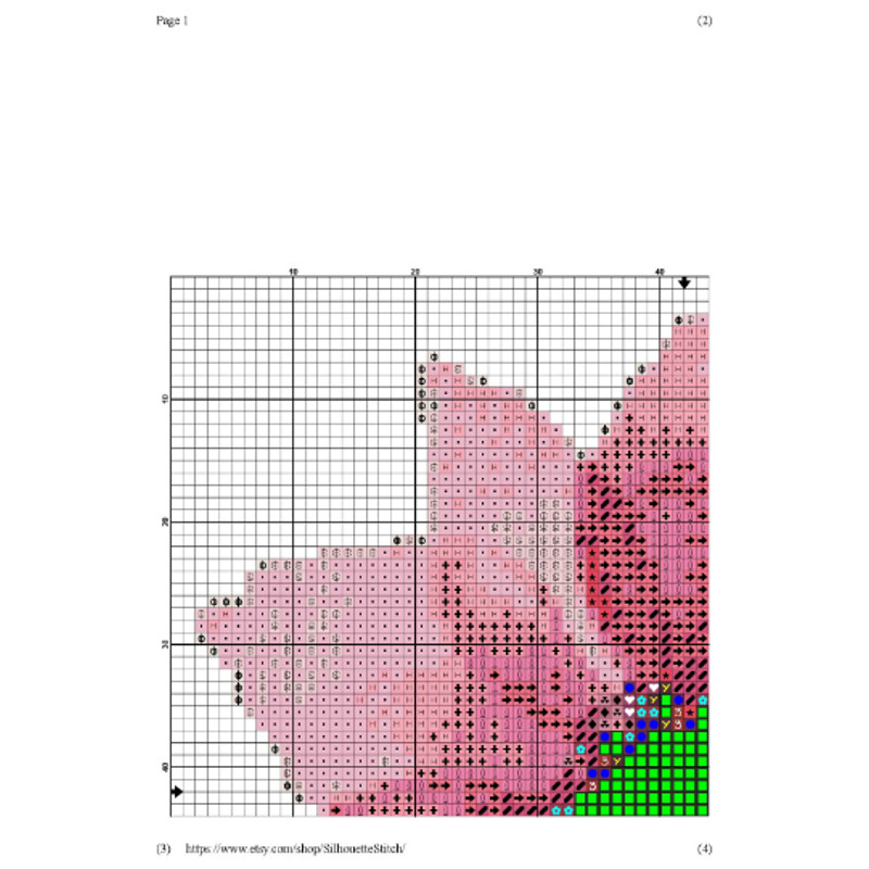 загружено (5).png