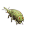 df.png