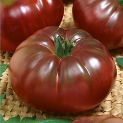 tomato seeds, 200 seeds tomato black prince, ukrainian organic seeds, sw262
