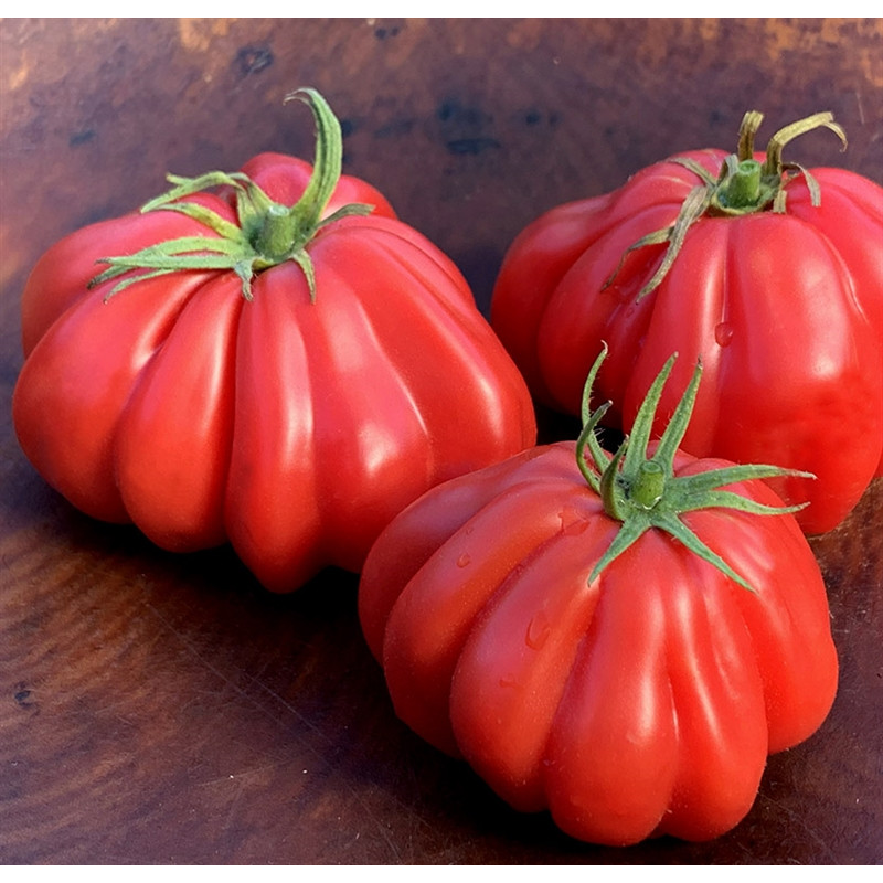 002.Томат Шарпей розовый.jpg