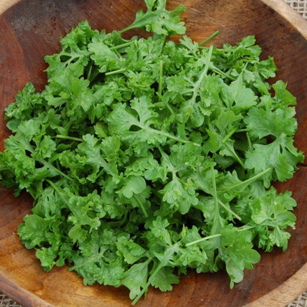001.Watercress.jpg