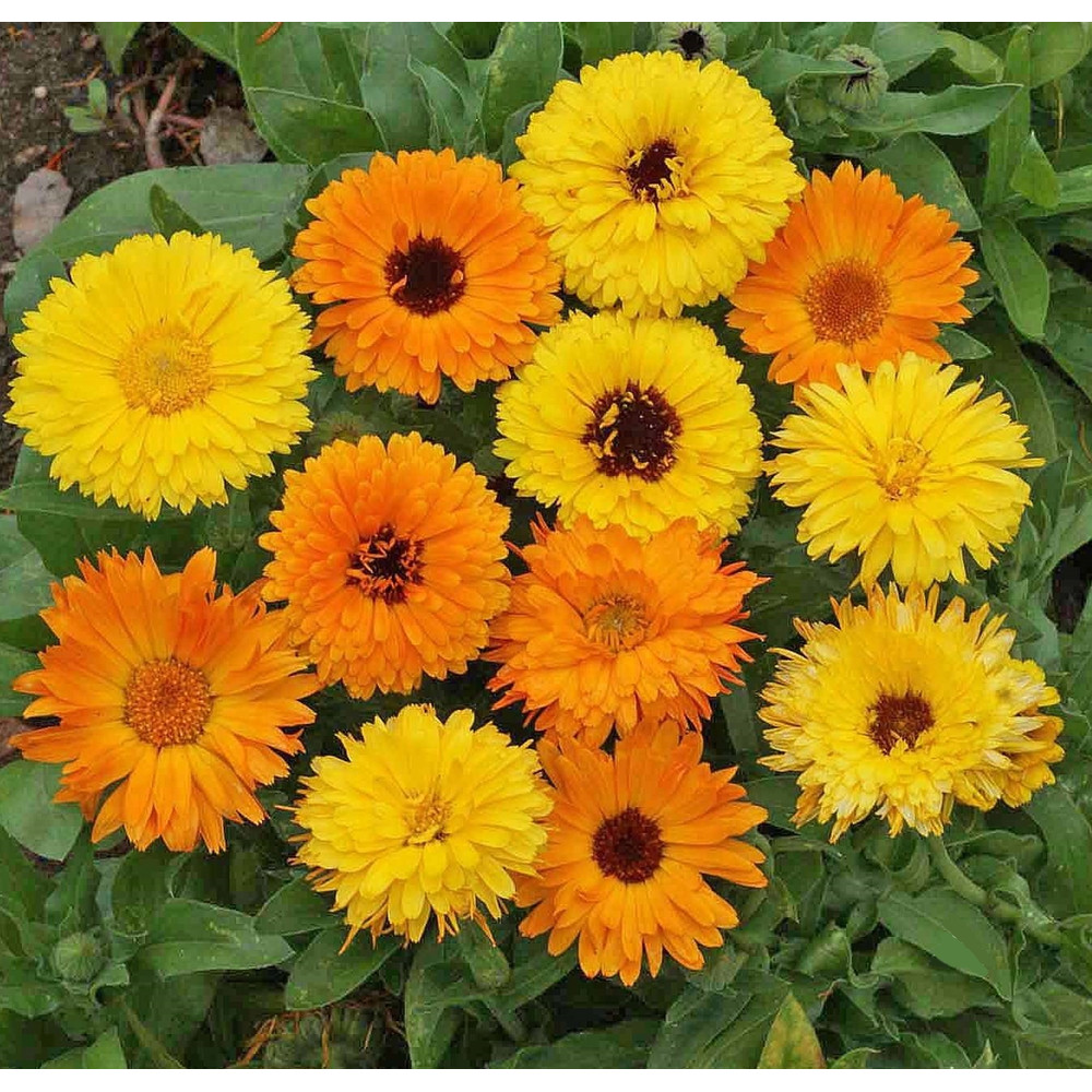 001 a8b9685d5d962870720a14f50347a845.jpg