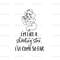 MR-lilas-luminosity-dn24012024ht06-242202493247.jpeg