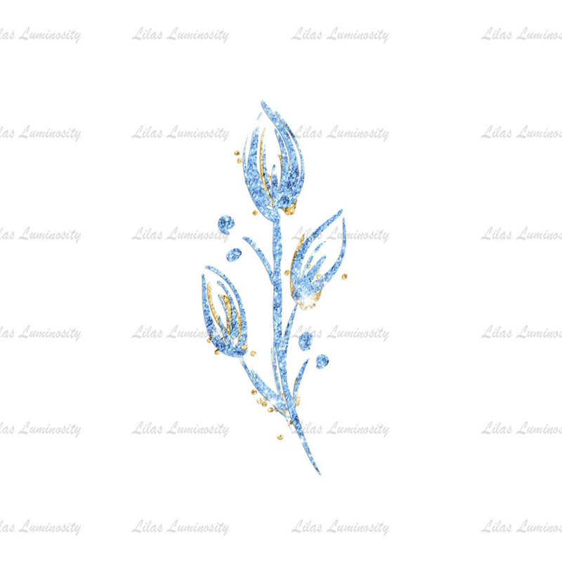 MR-lilas-luminosity-ac01022024ht34-13202493552.jpeg